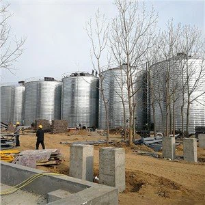 Concrete Batching Plant Cement Silo (30-300tons)